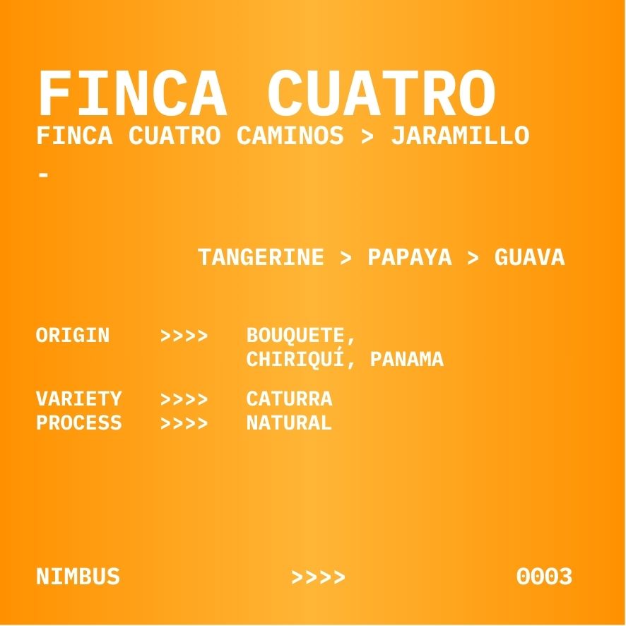 FINCA CUATRO | PANAMA