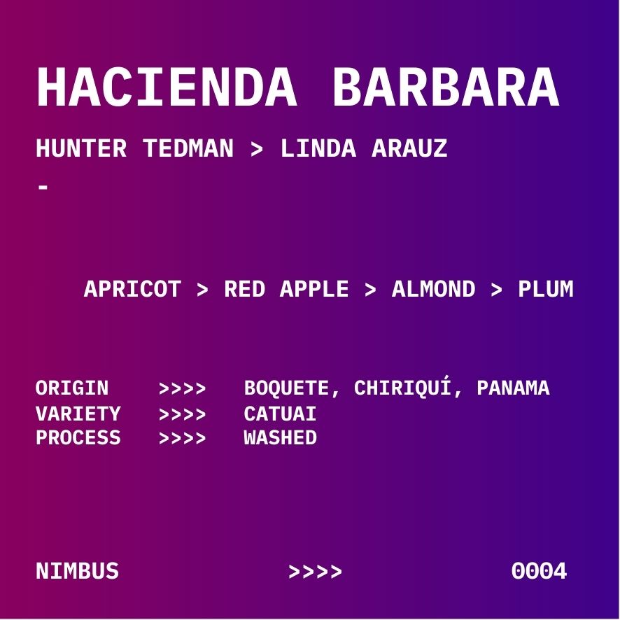 HACIENDA BABARA | WASHED CATUAI