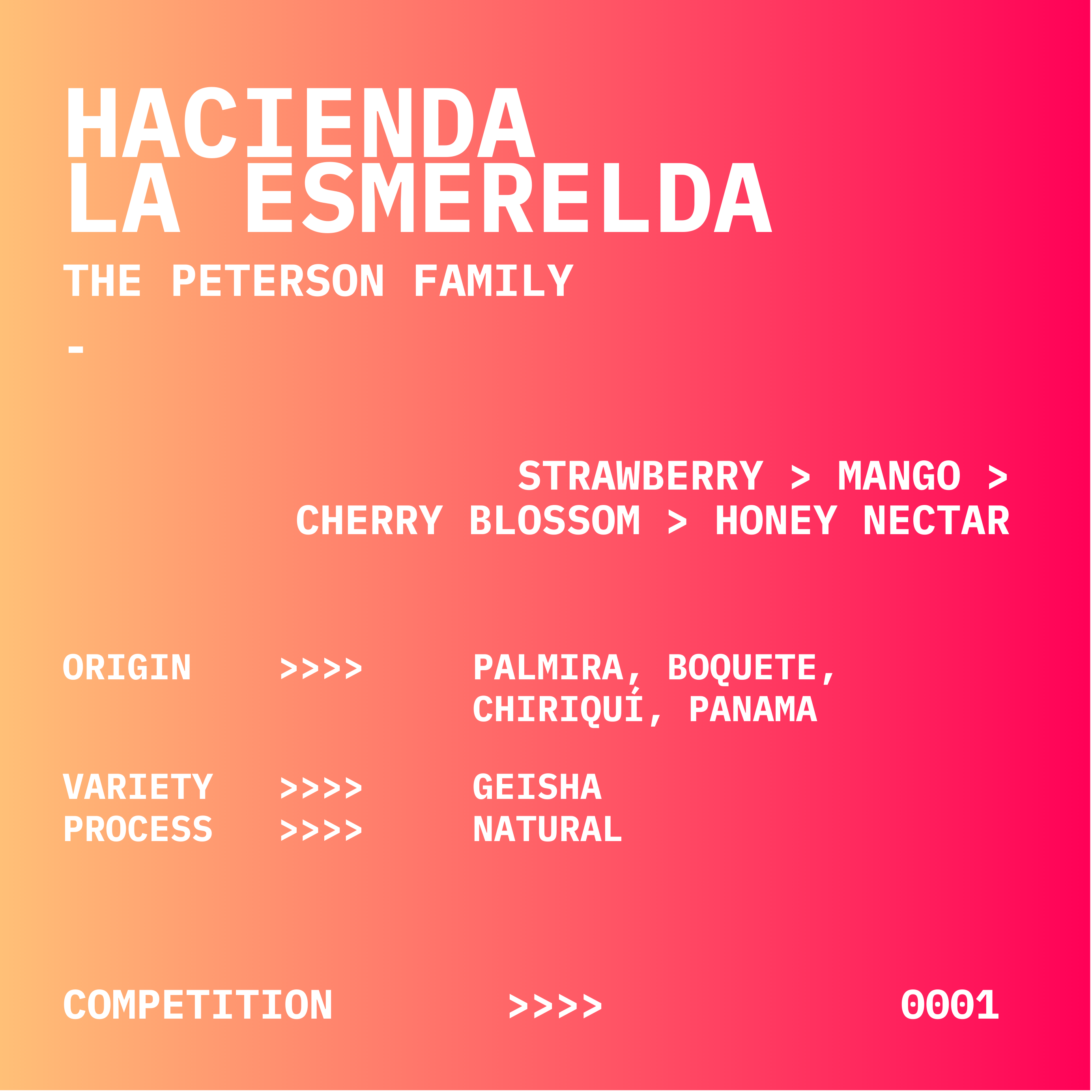 HACIENDA LA ESMERELDA | NATURAL GEISHA