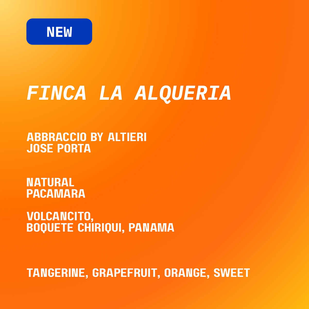 FINCA LA ALQUERIA | PACAMARA