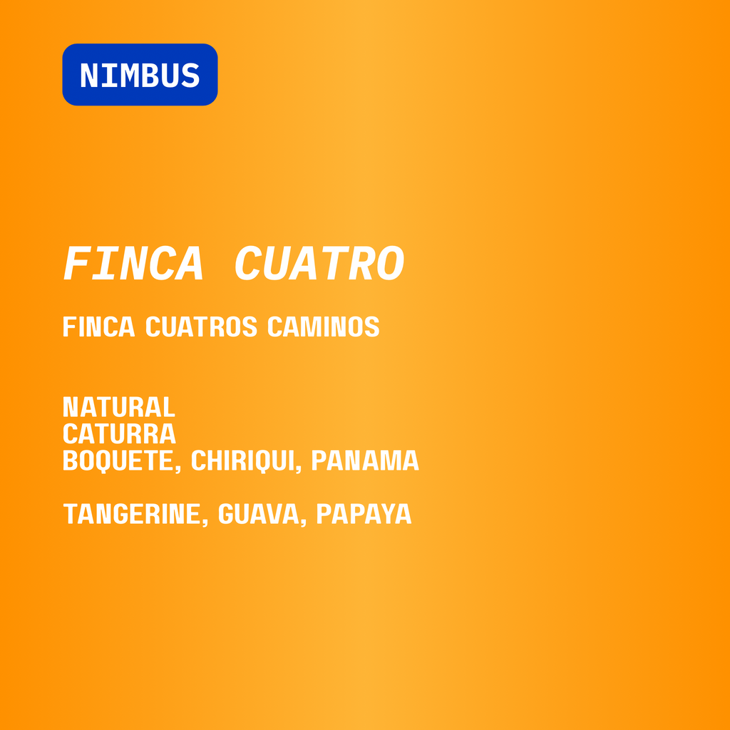 ROTATING NIMBUS FILTER SUBSCRIPTION