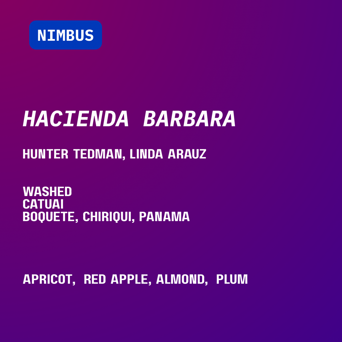 ROTATING NIMBUS FILTER SUBSCRIPTION