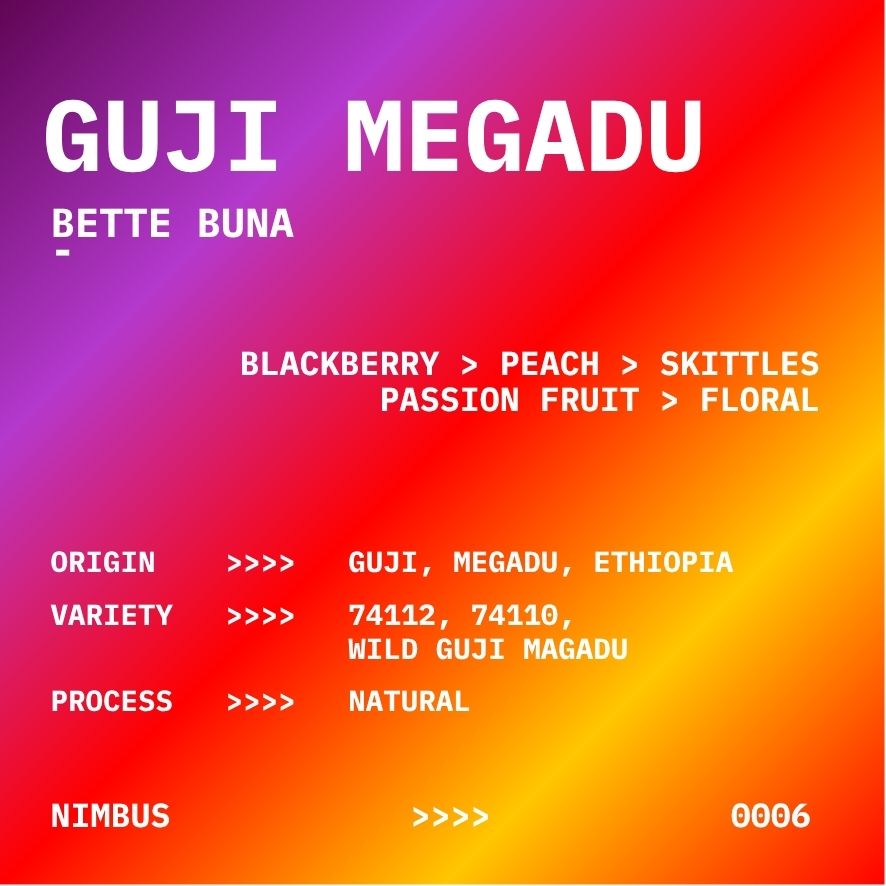 GUJI MEGADU | ETHIOPIA | NATURAL