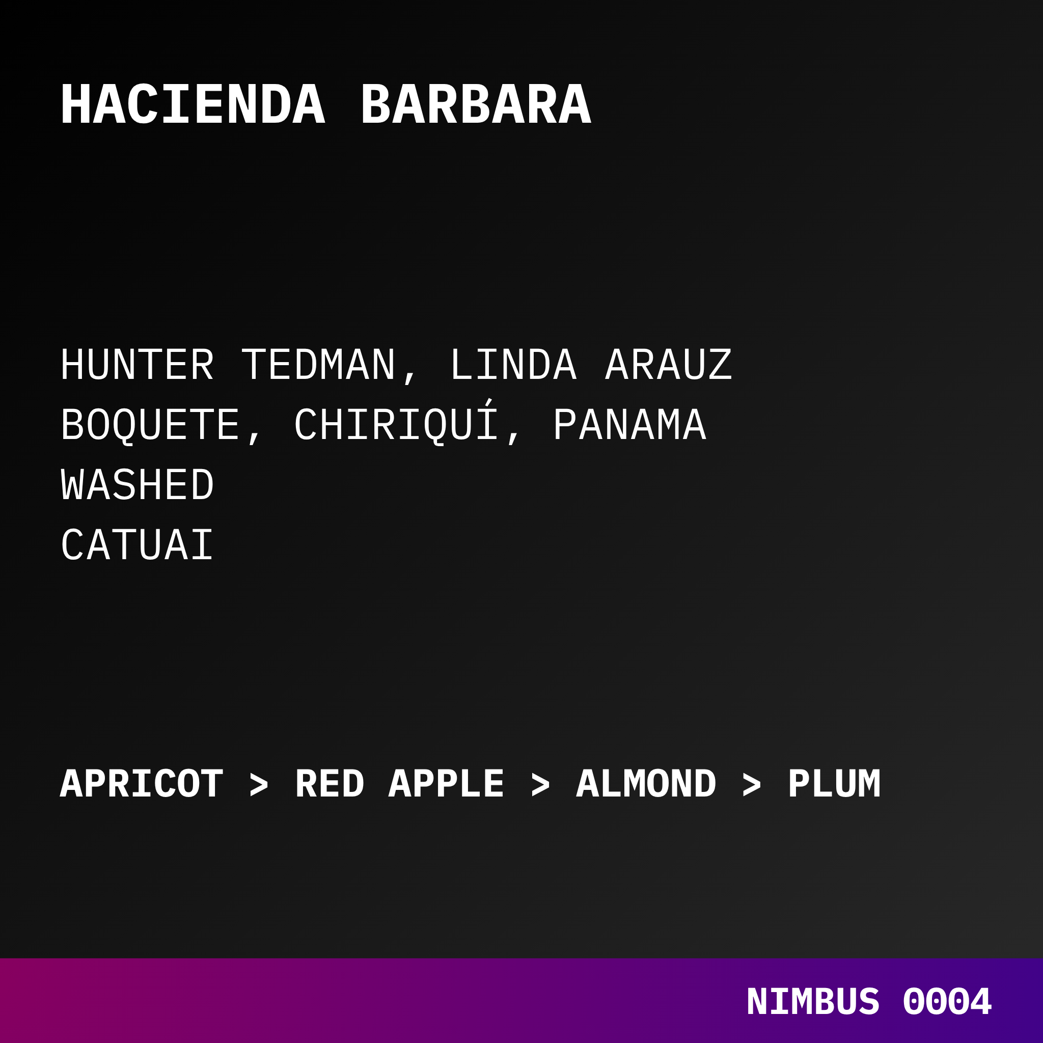 HACIENDA BABARA | PANAMA | WASHED CATUAI