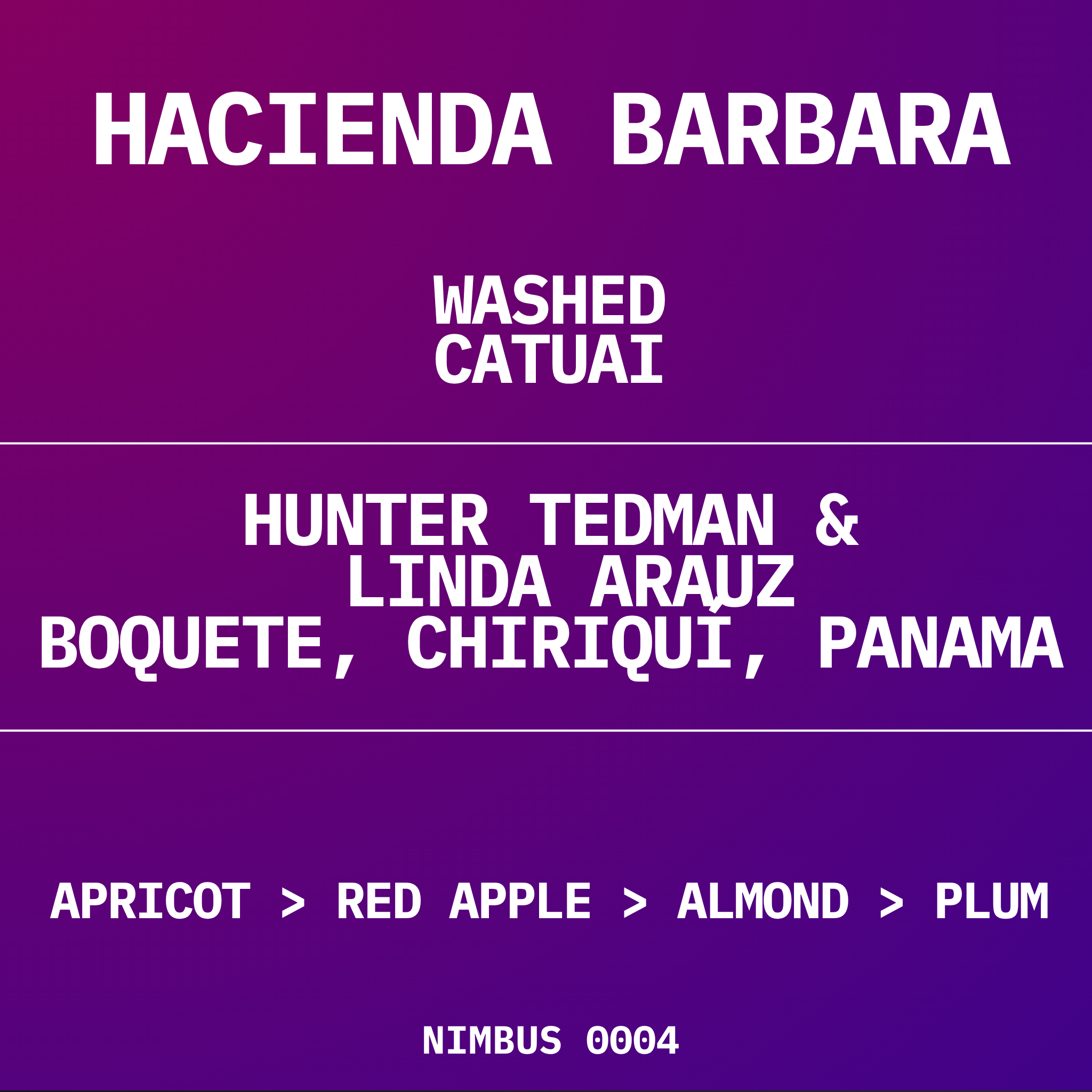 HACIENDA BABARA | PANAMA | WASHED CATUAI