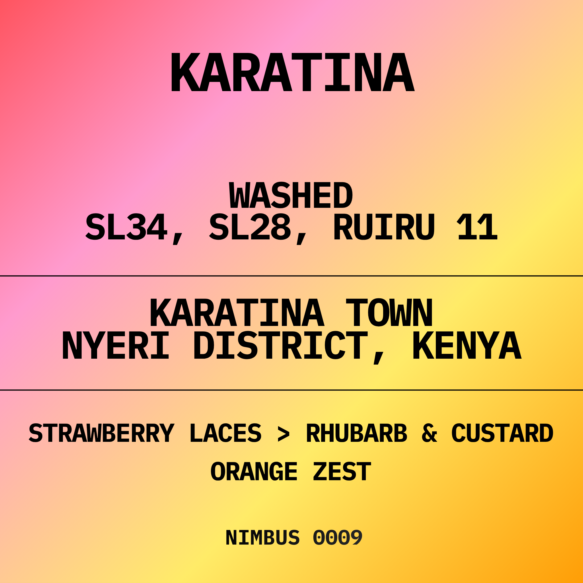 KARATINA TEGU | KENYA