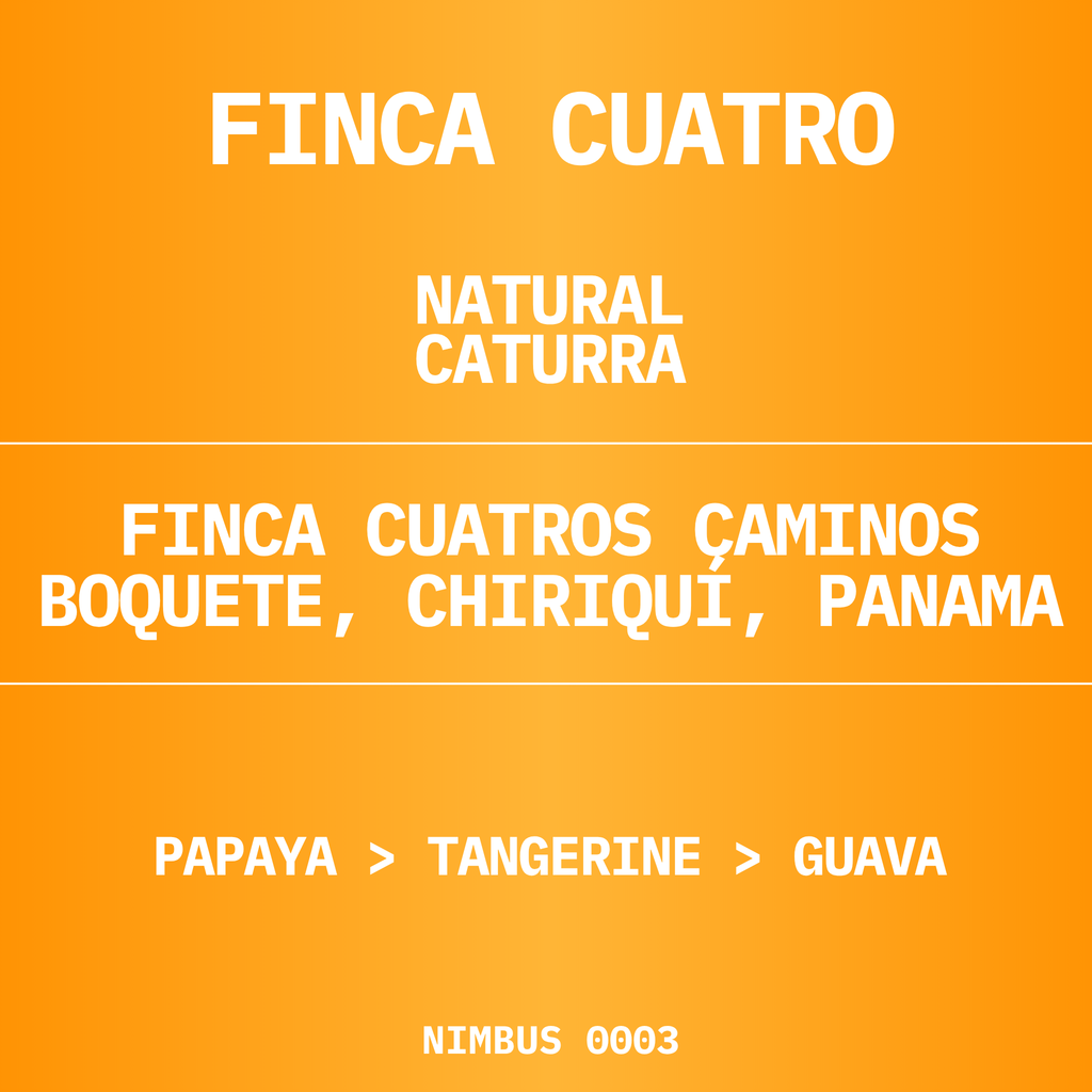 FINCA CUATRO | PANAMA |  CATURRA