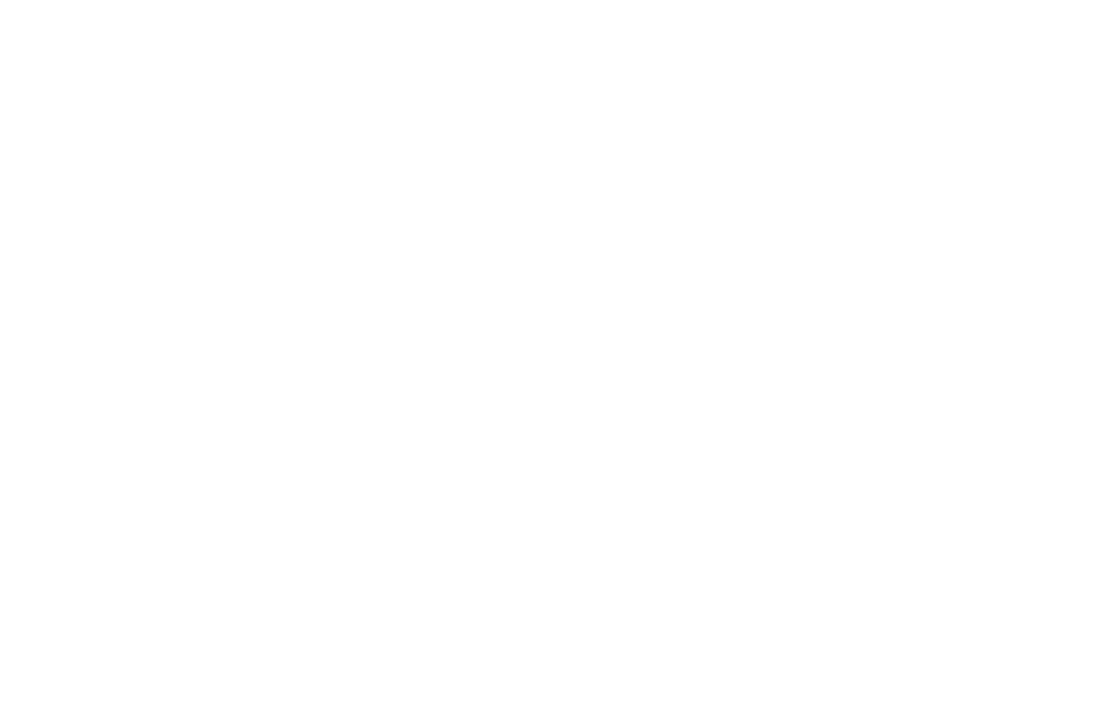 CARETTA COFFEE LOGO